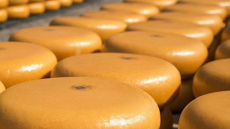 AZ-directeur Robert Eenhoorn opent Alkmaarse kaasmarkt