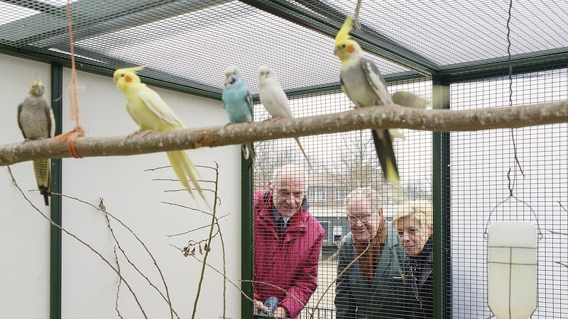 Nieuwe vogelvolière voor Wijkboerderij Alkmaar