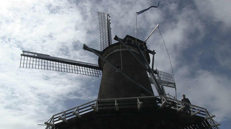 Acht molens in regio Alkmaar openen deuren tijdens Nationale Molendag