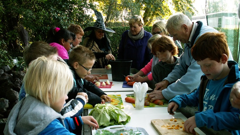 Groene workshops voor kinderen bij Hortus Alkmaar