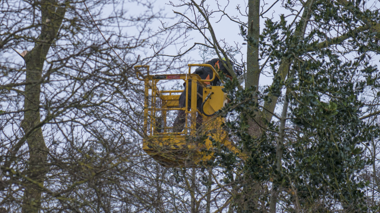 Gemeente kapt 112 bomen bij Vaart Alkmaar