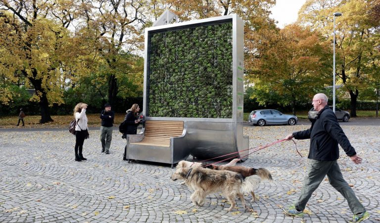 Gemeente Alkmaar installeert ‘groene muur’ voor verbetering luchtkwaliteit