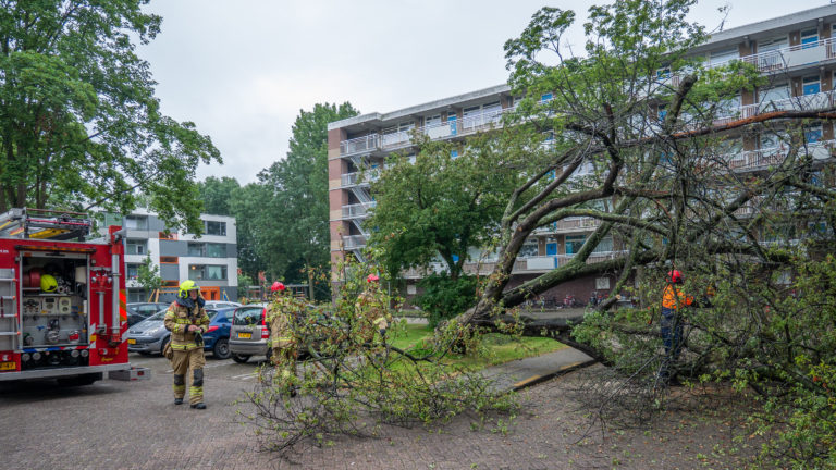 Flinke boom valt om en raakt flatgebouw in Alkmaarse Maasstraat