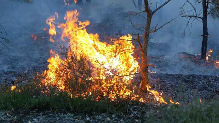 Veiligheidsregio vraagt ‘extra alertheid’ op natuurbranden