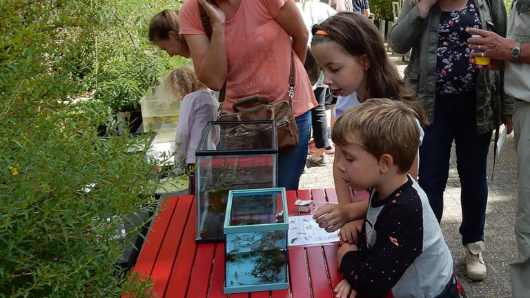 Leer alles over insecten tijdens Beestjesdag in Hortus ?