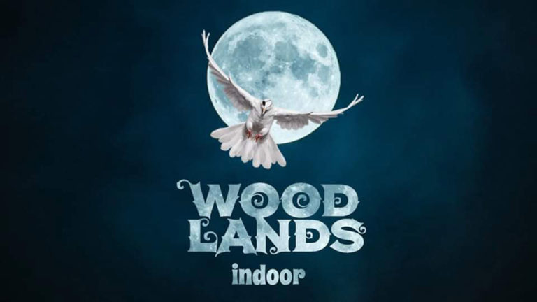 Woodlands Indoor Festival op 21 december in Koel310 ?