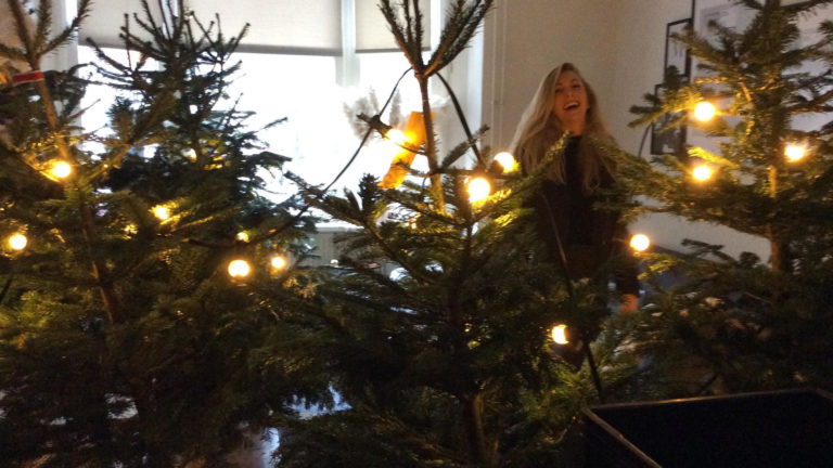 Geintje: Alkmaarse treft bij thuiskomst 17 kerstbomen in haar appartement