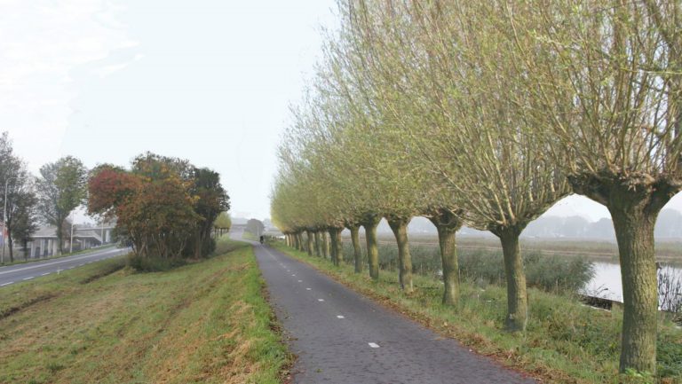 Fietsersbond Regio Alkmaar vraagt om veiligere fietspaden langs N-wegen