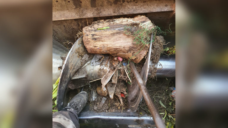 In rolemmer gegooide boomstam zorgt voor schade aan vuilniswagen