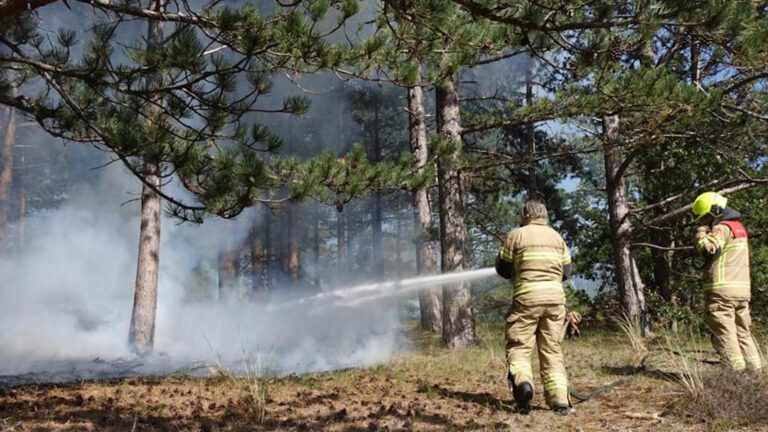 Kleine natuurbrand langs Uilenvangersweg Bergen snel geblust