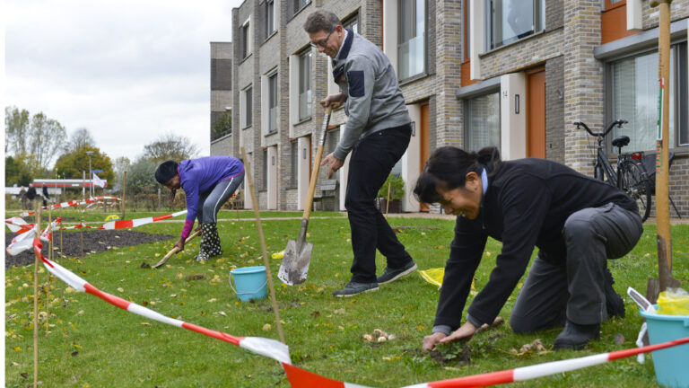 Alkmaarders maken ‘raingardens’ langs Claeszpad tijdens provinciale Plantestafette