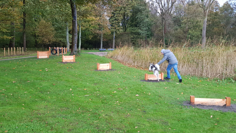 Buurtbewoner regelt hondenparcours in Park Oosterhout: “We moeten nog wel even oefenen”