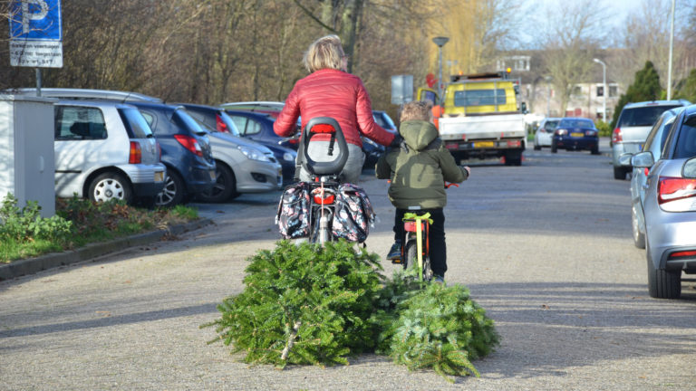 Gemeente Bergen doet maandag extra ophaalronde kerstbomen