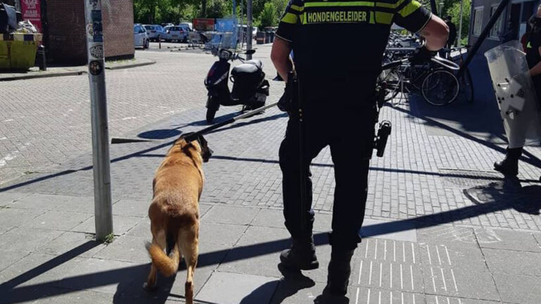 Alkmaarse politie neemt hond in beslag: “Hopelijk snel naar nieuw baasje”