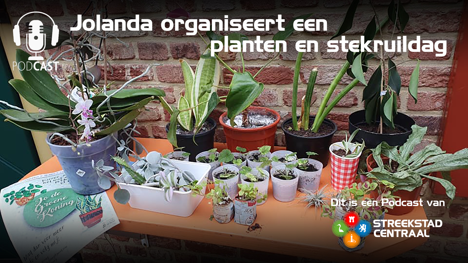 Podcast Jolanda de Koning: “Ze noemen me wel de plantengoeroe”