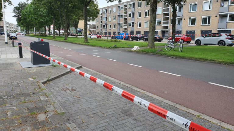 Man met fiets geschept door auto op Willem de Zwijgerlaan