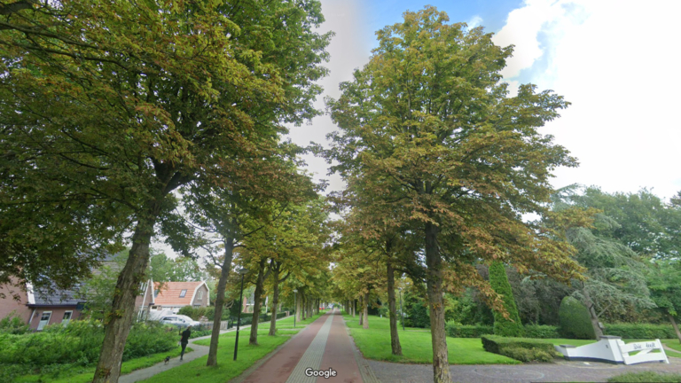 Herinrichting fietsstraat Middenweg in Heerhugowaard, vervanging zieke kastanjebomen
