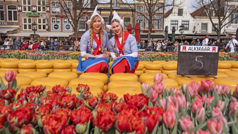 Tulpenboer Tom Groot opent op 8 april de vijfde Tulpenkaasmarkt 🗓