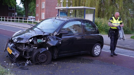 Auto tegen boom aan Willem de Zwijgerlaan, bestuurster gewond naar ziekenhuis