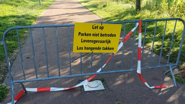 Tuin der Lusten Festival afgelast vanwege stormschade Alkmaarderhout