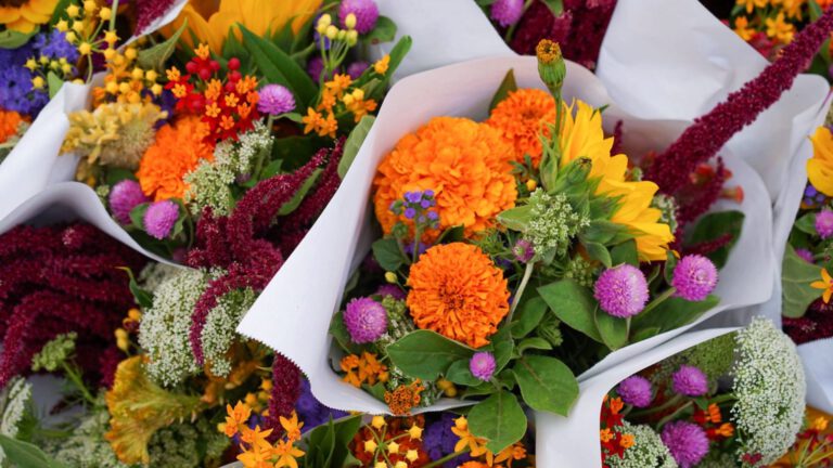 Ban op bloemen in Noordwest Ziekenhuis leidt tot raadsvragen in Alkmaar: “Wordt er niet leuker op”