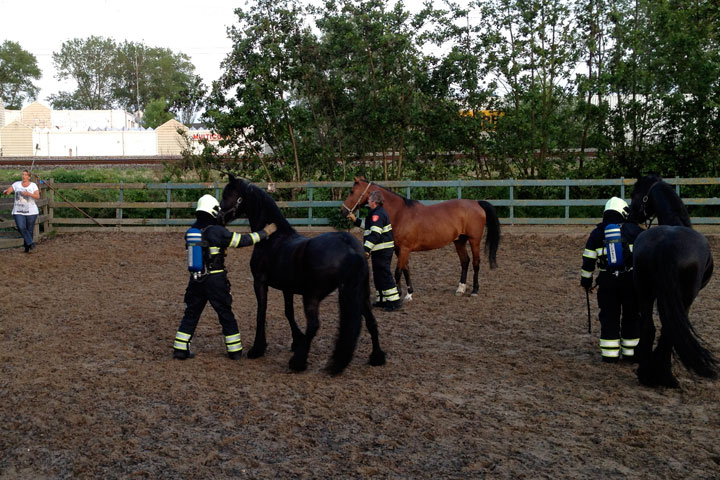 Brandweer oefent in Drechterwaard met paarden (FOTO)