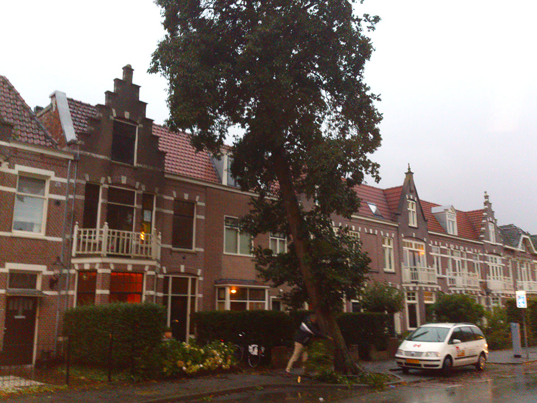 Storm raast over Alkmaar (FOTO's)