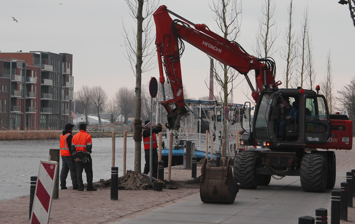 Nieuwe bomen geplant aan de Voormeer (foto)
